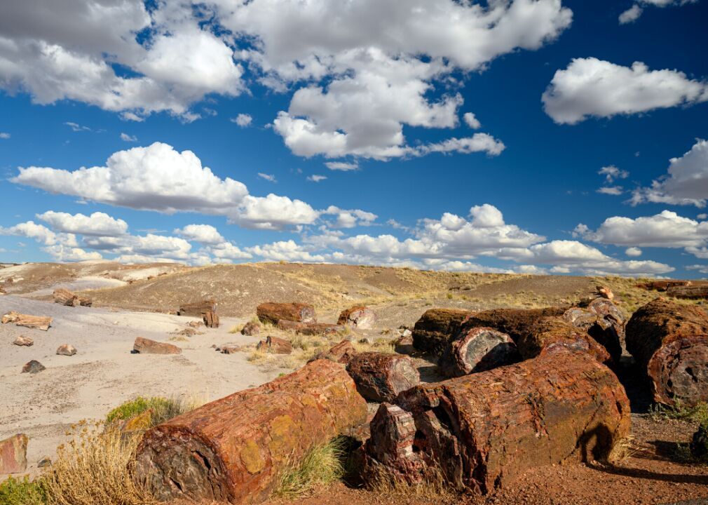 #12. Arizona